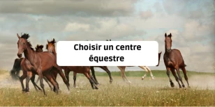 Choisir un centre équestre