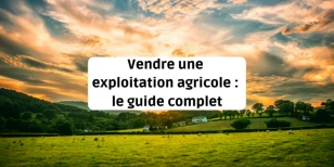 Vendre une exploitation agricole – Le guide complet