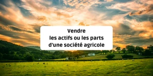 Vendre les actifs ou vendre les parts d’une société agricole