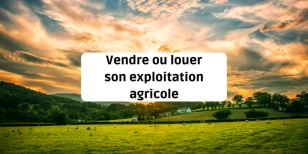 Vendre ou louer son exploitation agricole ?