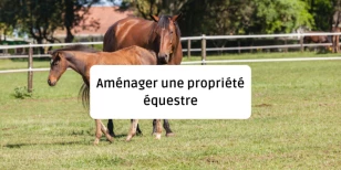 Aménager une propriété équestre : conseils et astuces