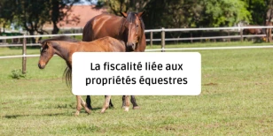 Taxation of equestrian properties: what you need to know