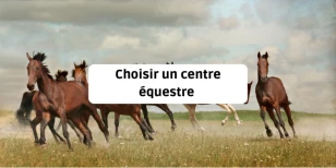 Choosing a riding school