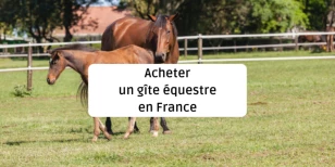 Acheter un gîte équestre en France