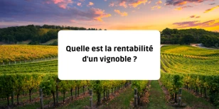 Quelle est la rentabilité d'un vignoble ?