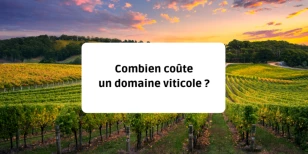 Combien coûte un domaine viticole ?