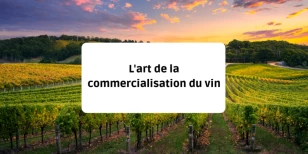 L'art de la commercialisation du vin