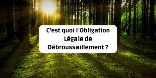 C'est quoi l'Obligation Légale de Débroussaillement (OLD) ?