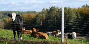 Quels types de clôtures sont les plus adaptés aux activités agro-pastorales ?