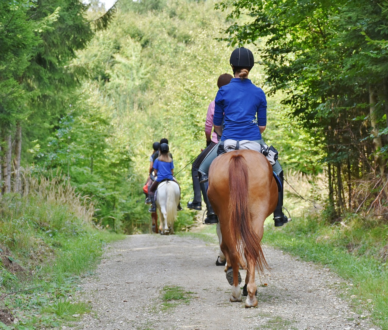 Balade à cheval 