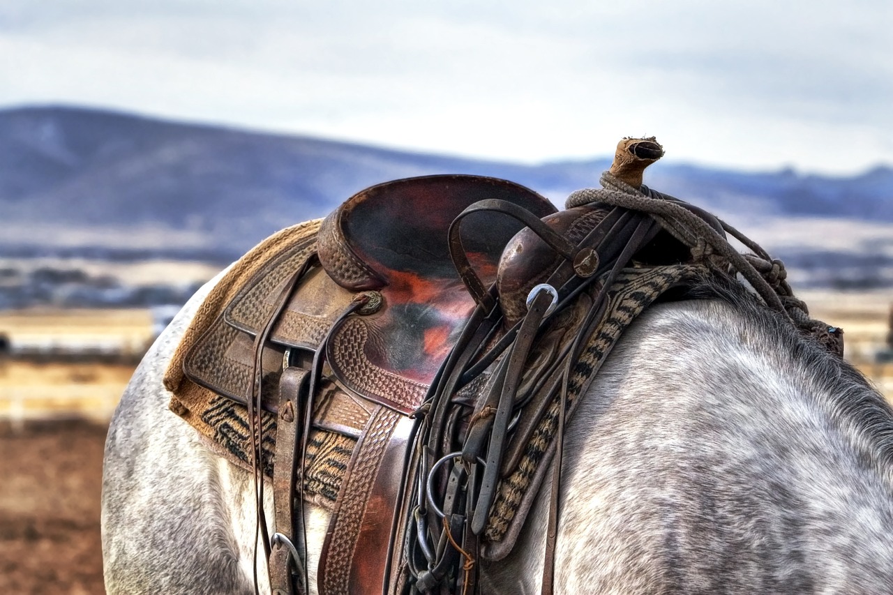 Selle sur une cheval