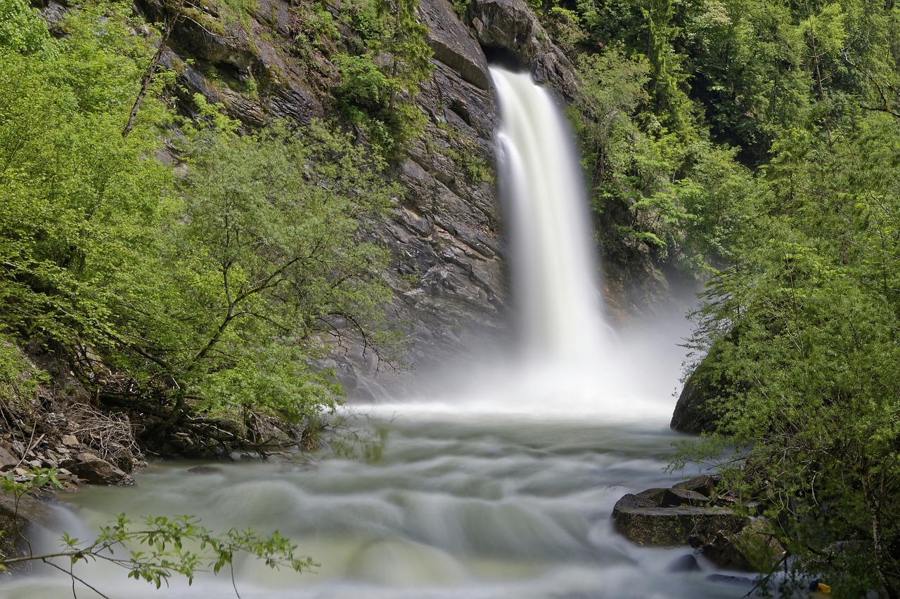 foret-avec-cascade