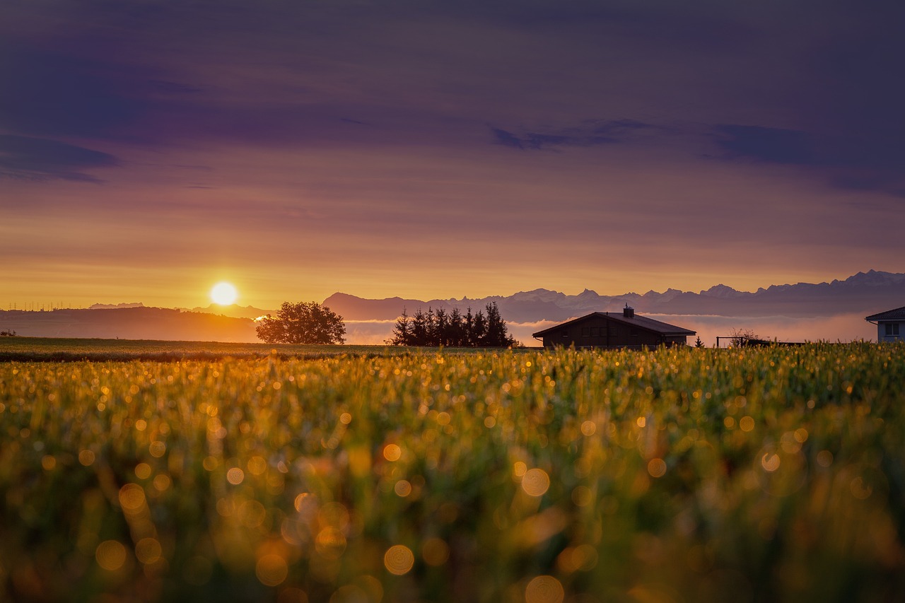 Champ avec couché de soleil et maison de campagne 