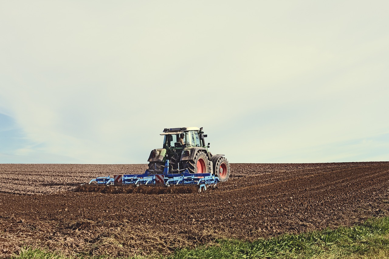 Champ avec tracteur 