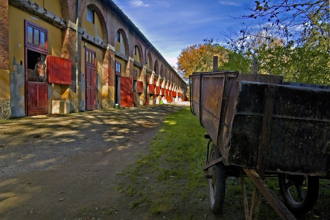 Bâtiment équestre