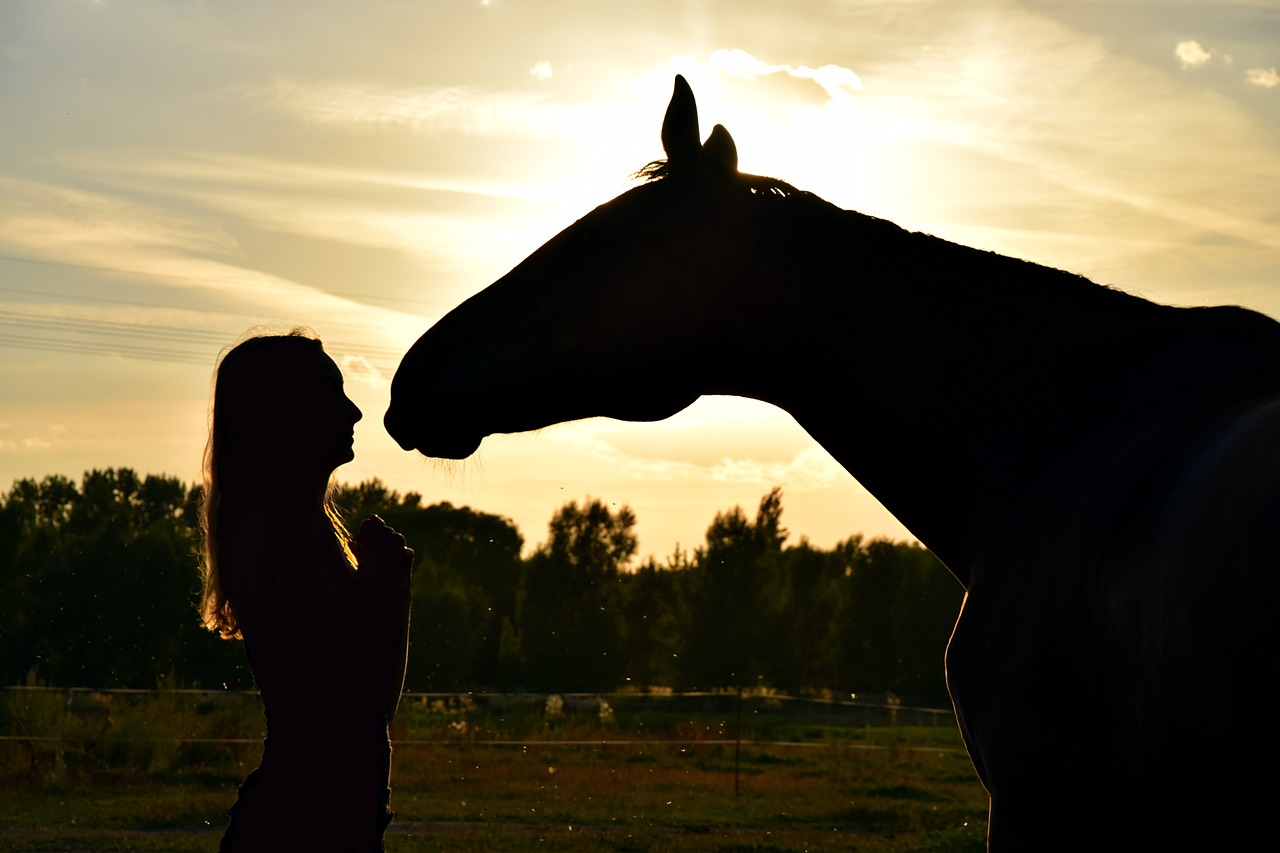 Couché de soleil avec une personne et un cheval