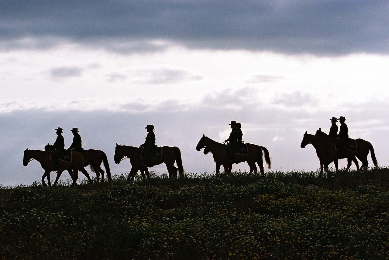 Balade de plusieurs chevaux 