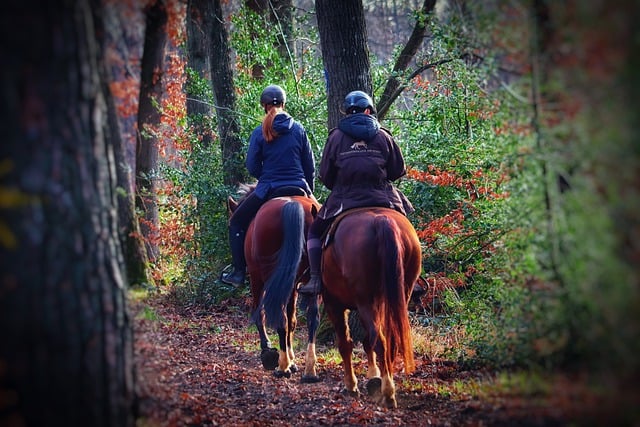 Balade à cheval