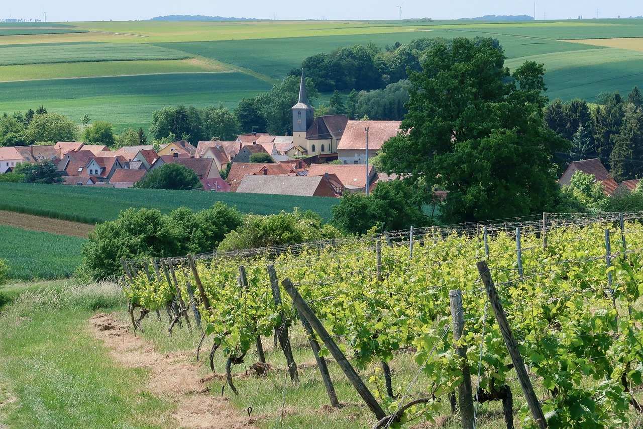 viilage-avec-vignes