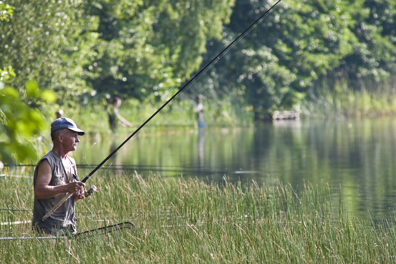 peche-dans-un-etang