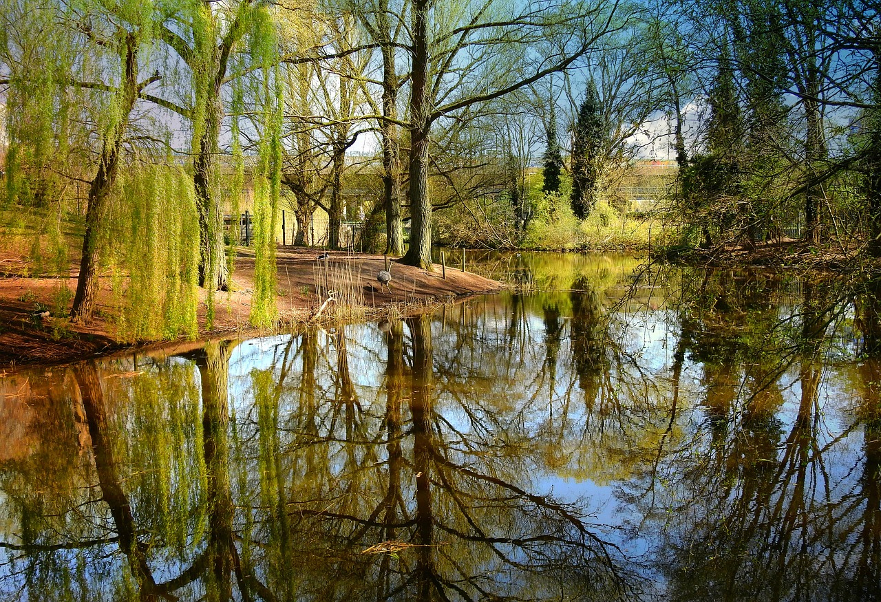 etang-et-foret