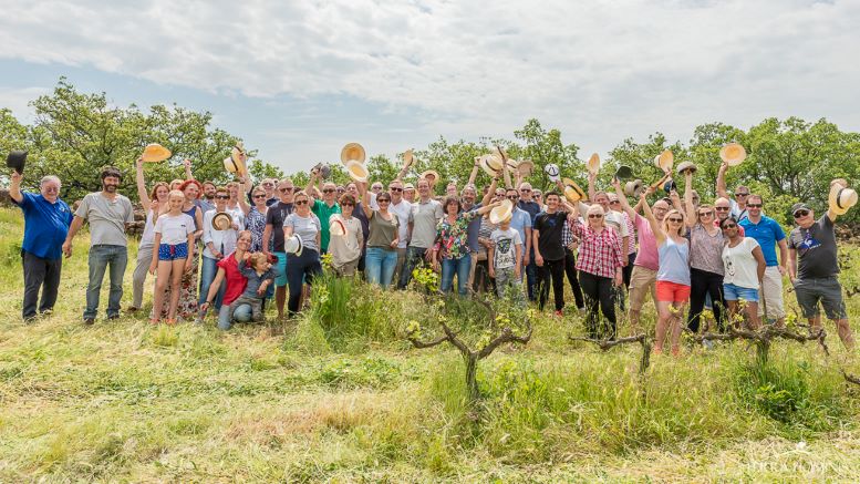 Photos 3 - Vineyard - Parts de vignobles à Bordeaux à partir de 1300€ et jusqu'à 2500€