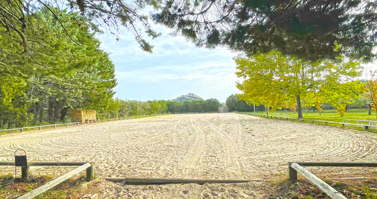 Photos 7 - Equestrian - Provence – Beautiful residence with outbuildings