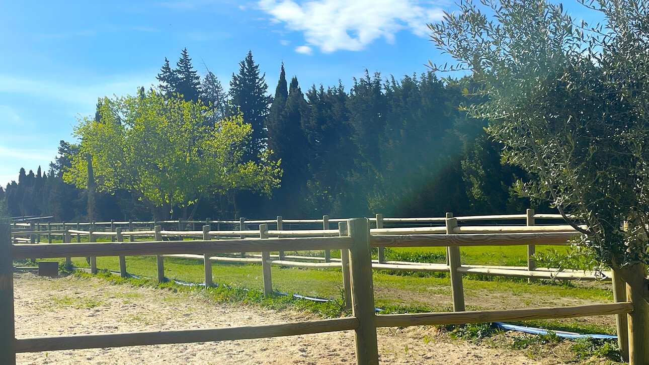 Photos 3 - Équestre - Bouches du Rhône - Belle Propriété équestre