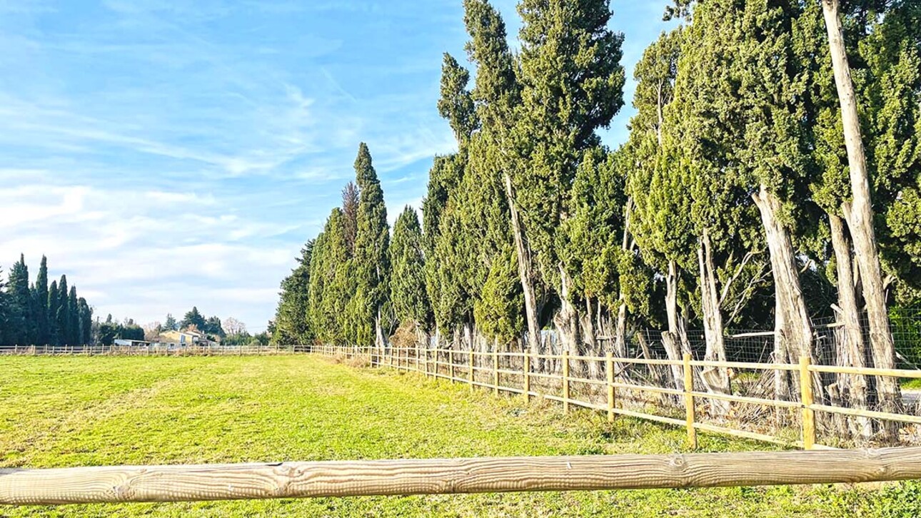 Photos 9 - Équestre - Bouches du Rhône - Belle Propriété équestre