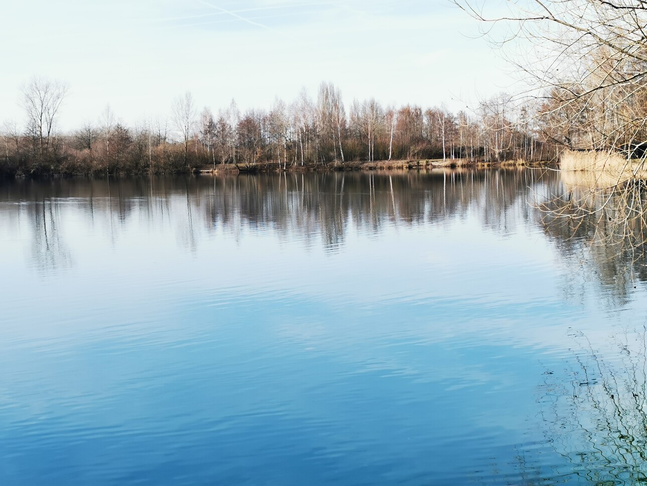 Photos 3 - Land - Leisure property of 13.7 ha including a lake of around 10 ha - for sale in Burgundy (89)