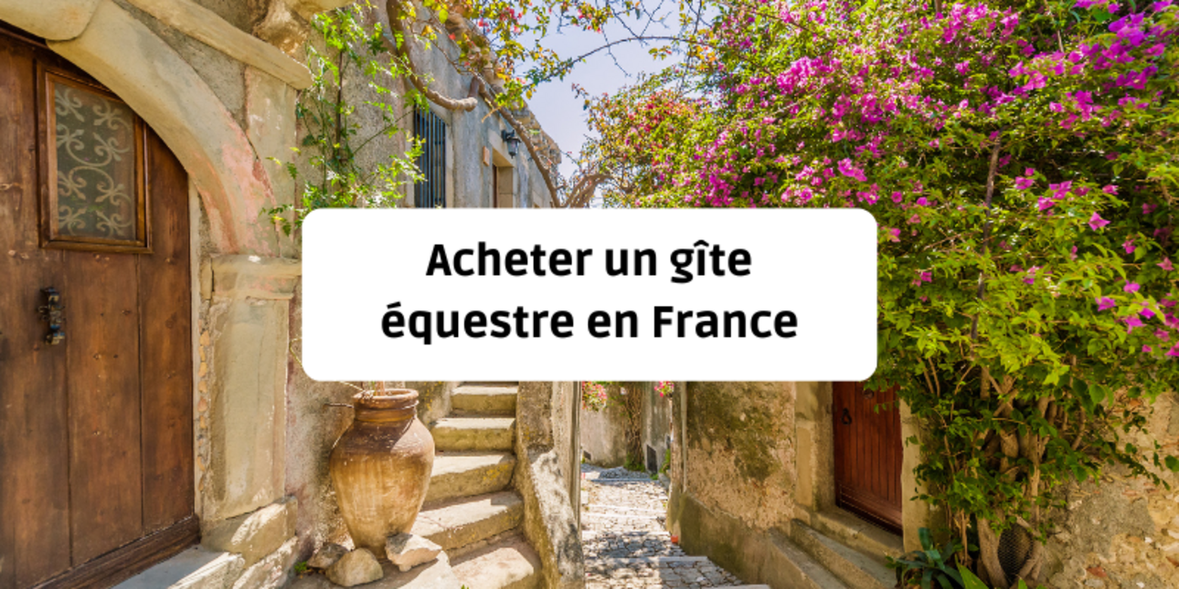 Buying an equestrian gîte in France