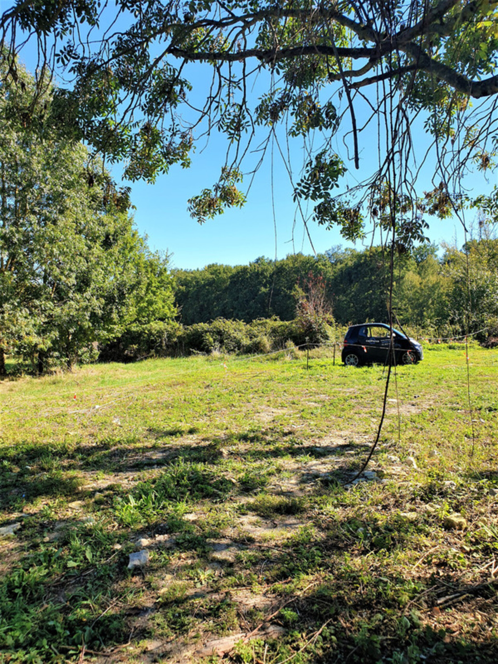 Photos 24 - Touristique - Dpt Charente (16), proche de BARBEZIEUX grande grange et terrain à vendre