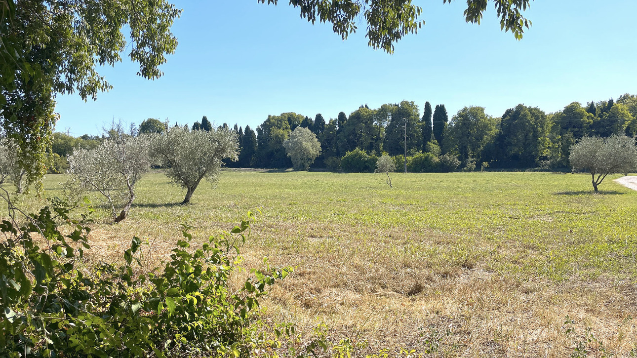 Photos 7 - Equestrian - Near Salon de Provence - Agricultural estate on nearly 3 hectares