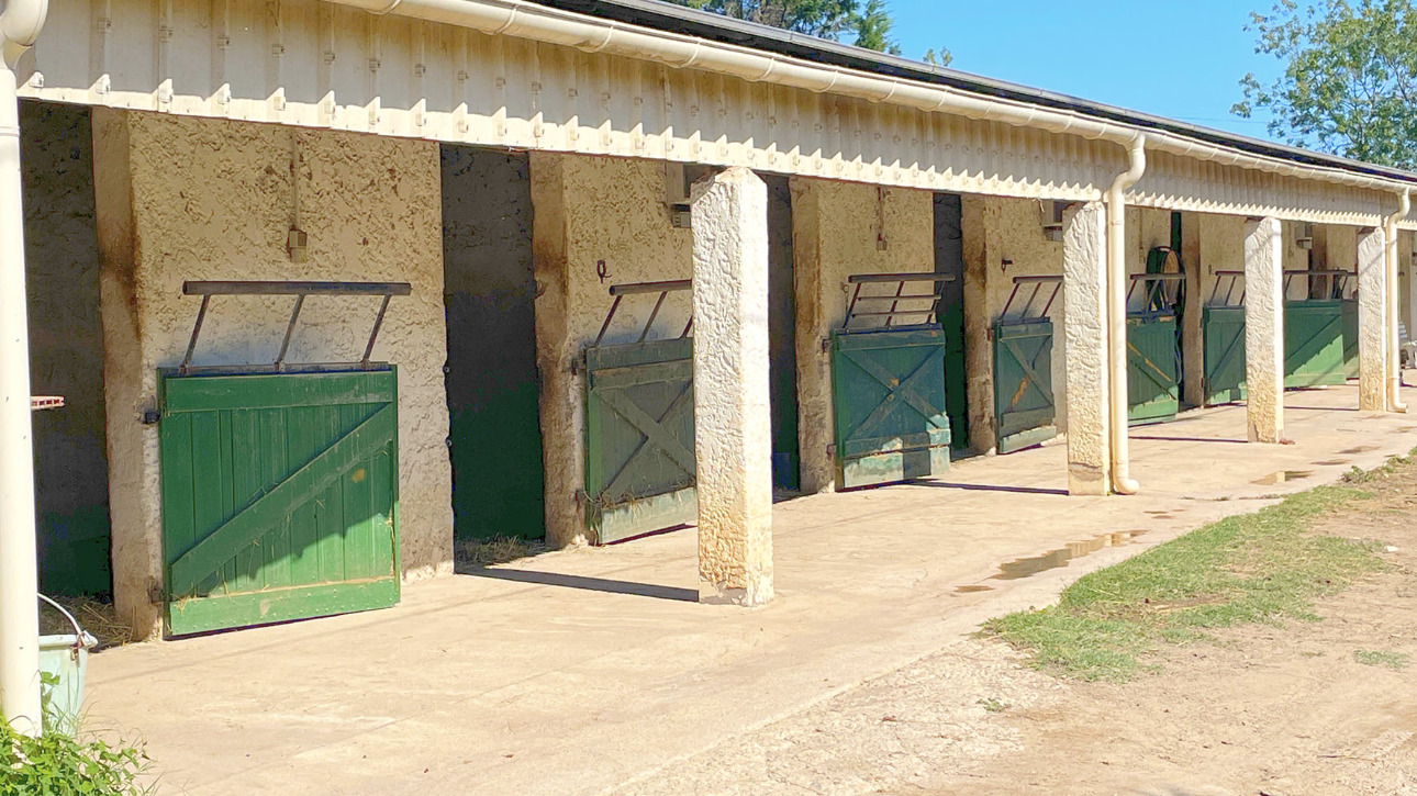 Photos 8 - Equestrian - Near Salon de Provence - Agricultural estate on nearly 3 hectares