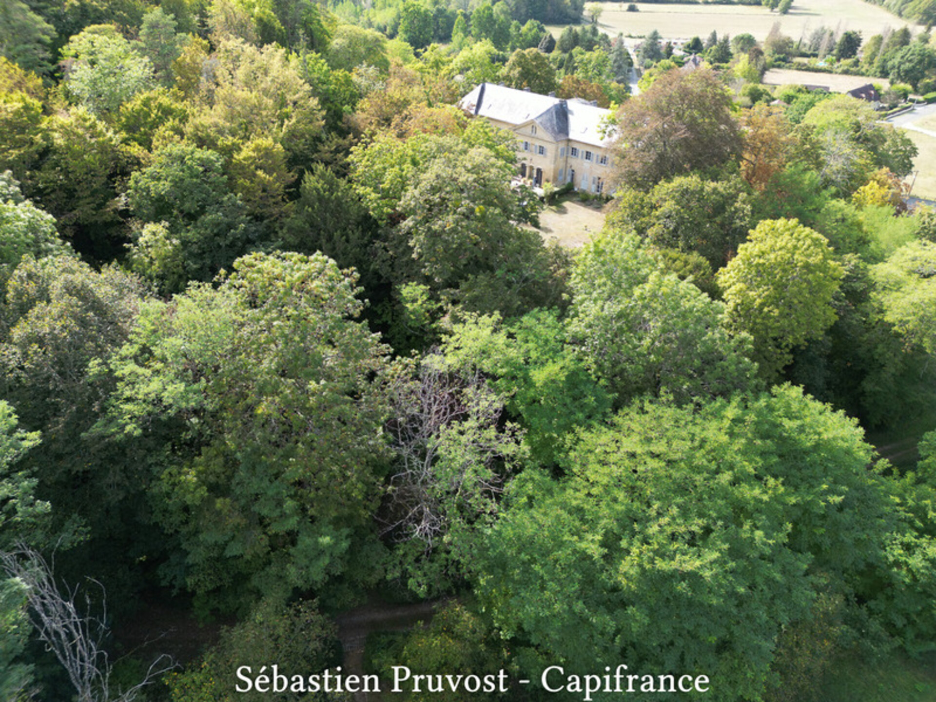 Photos 2 - Prestigious - Dpt Dordogne (24), for sale near PERIGUEUX-Château, caretaker's house, swimming pool 10x18m, 20P, 8