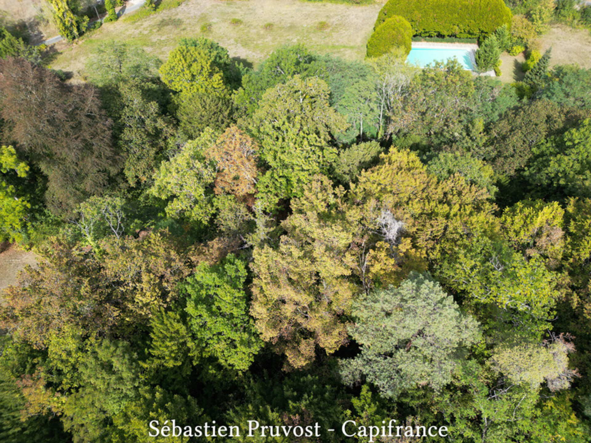 Photos 14 - Prestigious - Dpt Dordogne (24), for sale near PERIGUEUX-Château, caretaker's house, swimming pool 10x18m, 20P, 8