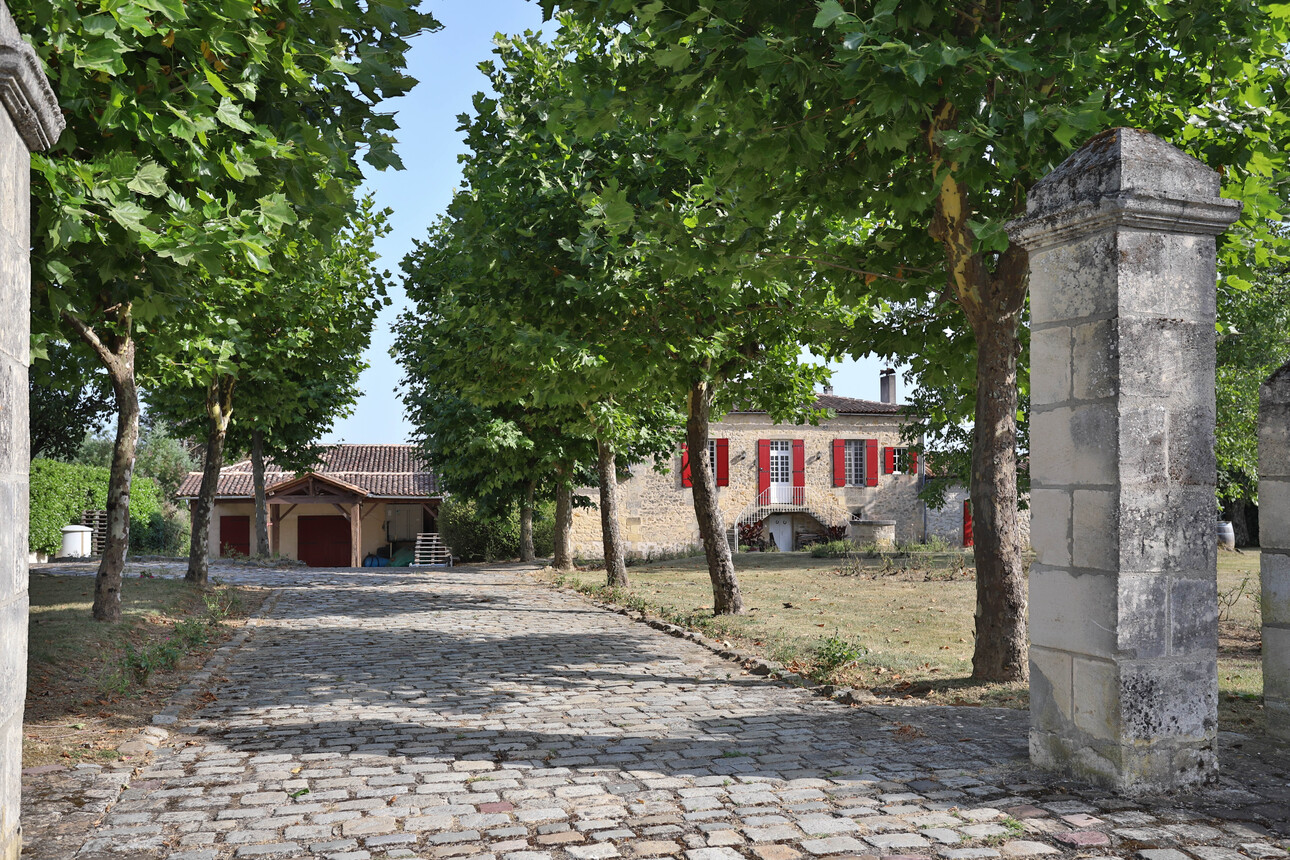 Photos 2 - Équestre - Belle propriété 30 minutes de Bordeaux