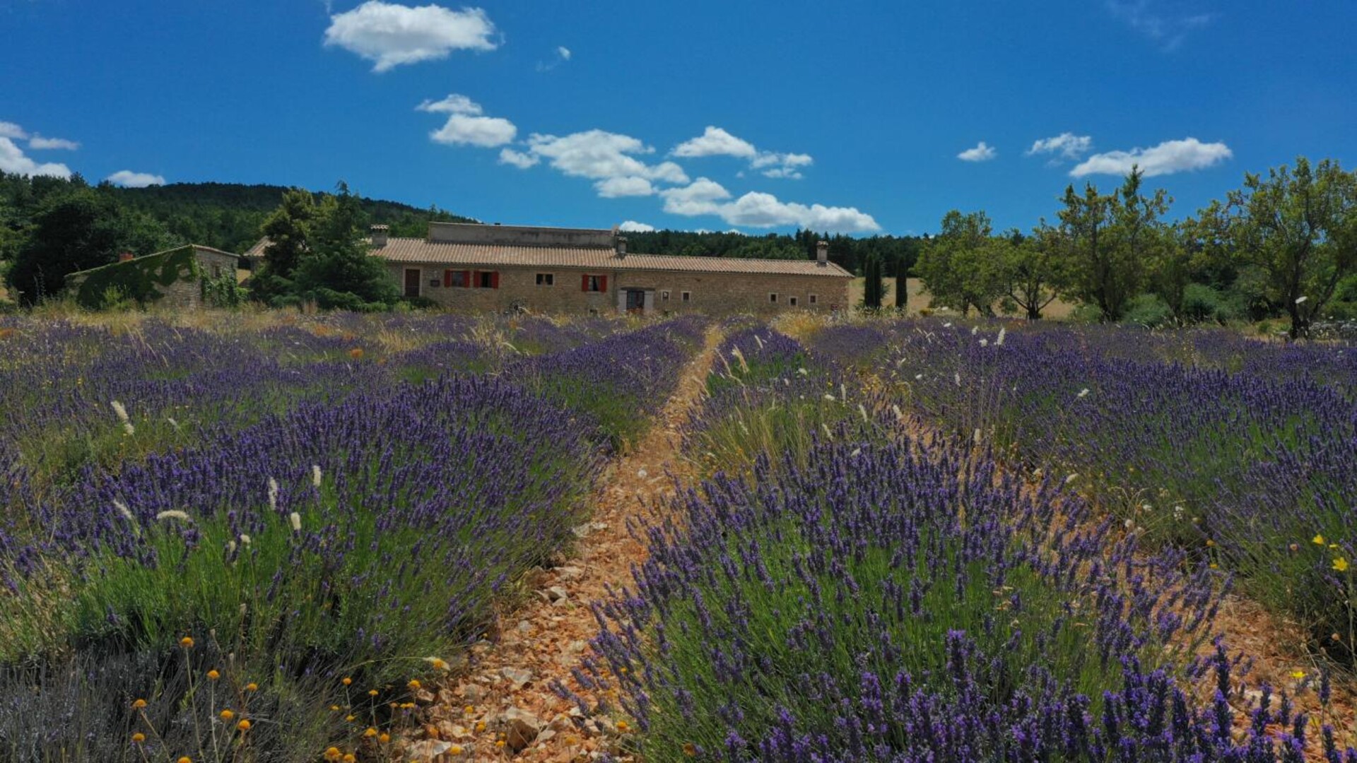 Photos 1 - Forestière - En exclusivité, une propriété avec création de projets sur 1