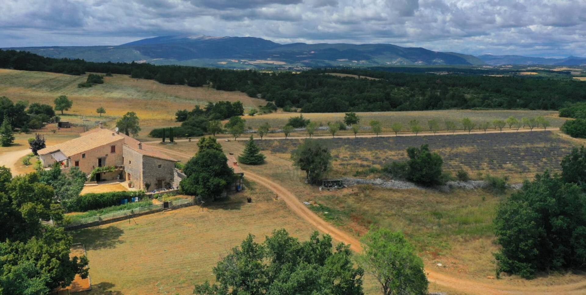 Photos 3 - Forestière - En exclusivité, une propriété avec création de projets sur 1