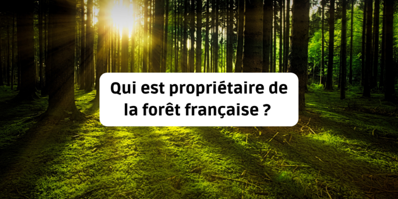 Qui est propriétaire de la forêt française ?