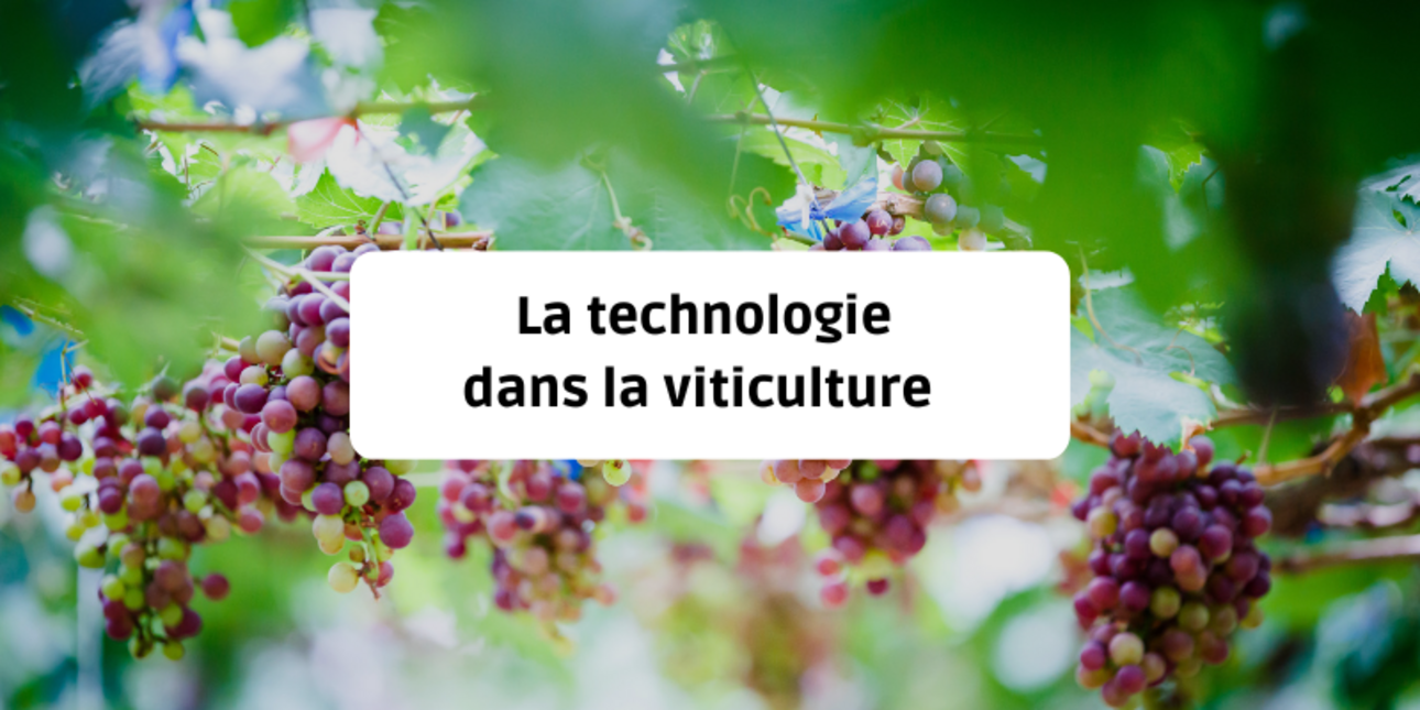 La technologie dans la viticulture