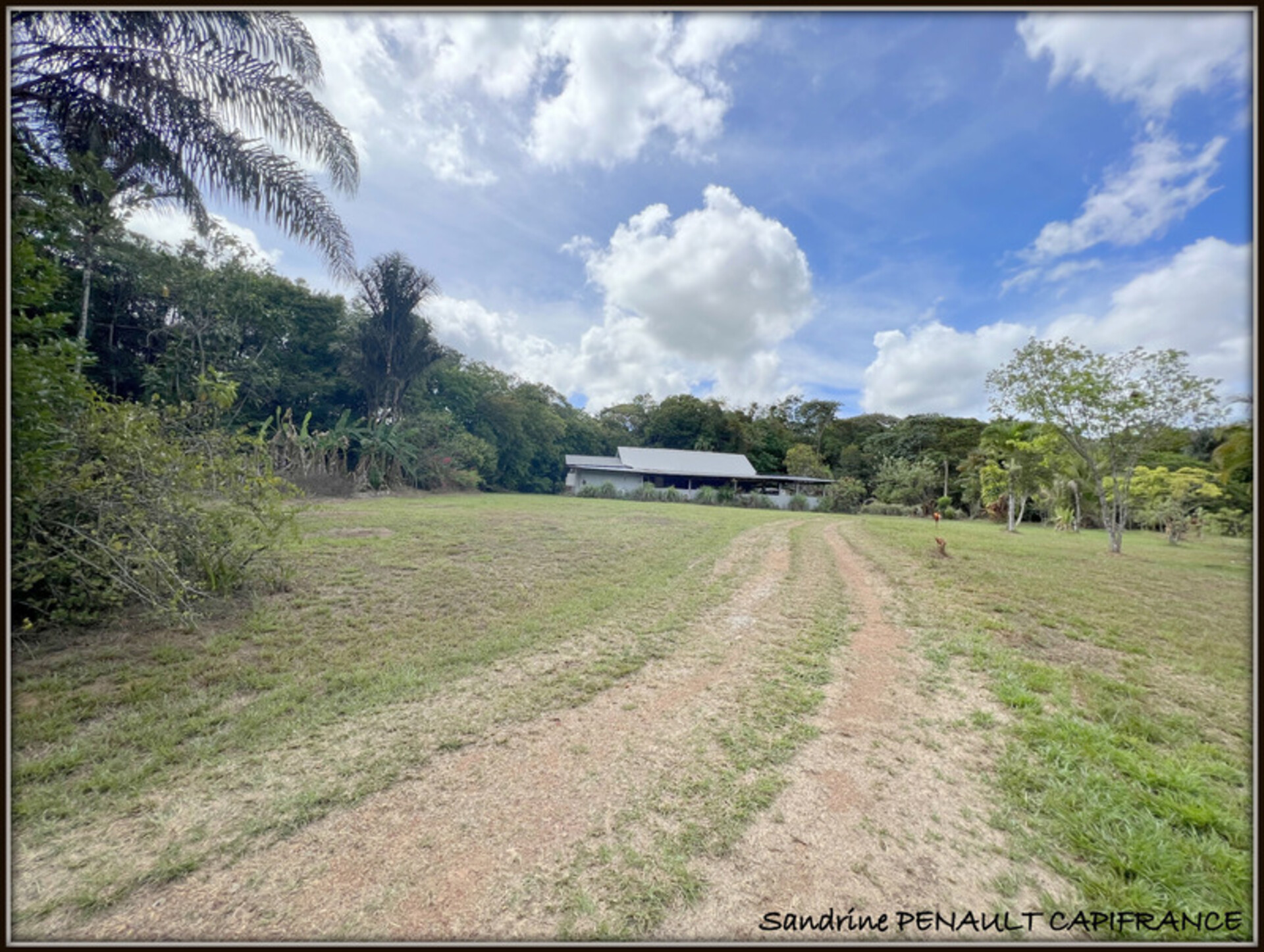 Photos 3 - Prestigious - A VENDRE A MONTSINERY TONNEGRANDE (97356 Guyane Française) UNE MAGNIFIQUE PROPRIETE T5 SUR UN TERRAIN DE 7892 m² - AU PRIX DE 535 000 €