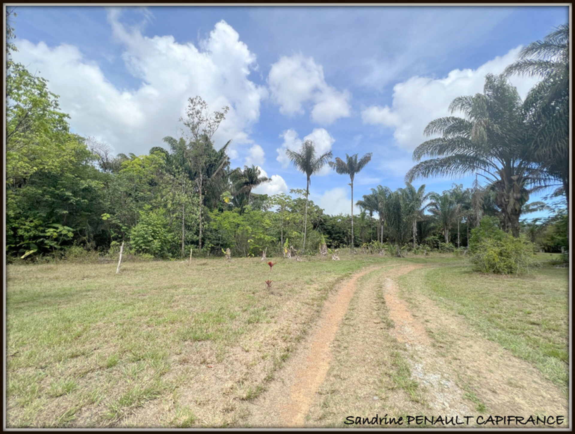 Photos 11 - Prestigious - A VENDRE A MONTSINERY TONNEGRANDE (97356 Guyane Française) UNE MAGNIFIQUE PROPRIETE T5 SUR UN TERRAIN DE 7892 m² - AU PRIX DE 535 000 €