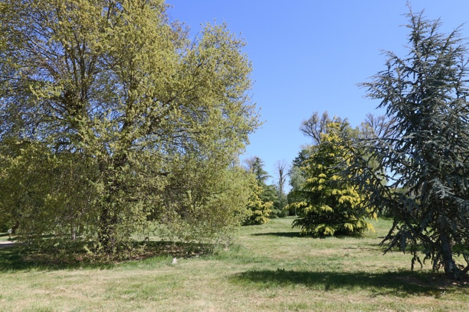 Photos 8 - Prestigious - Dpt Haute Garonne (31), for sale BEAUMONT SUR LEZE property P10 of 340 m² - Land of 3000 m²