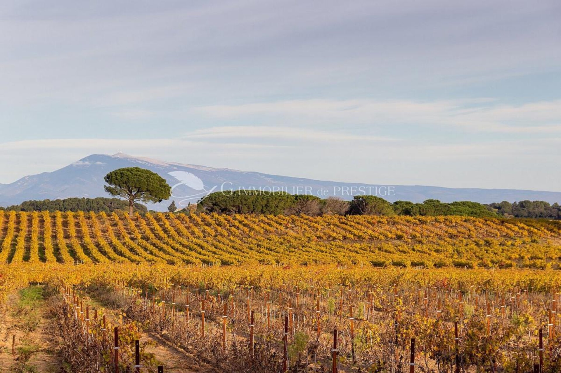 Photos 1 - Prestige - Au pied du Ventoux, une villa de charme avec vue