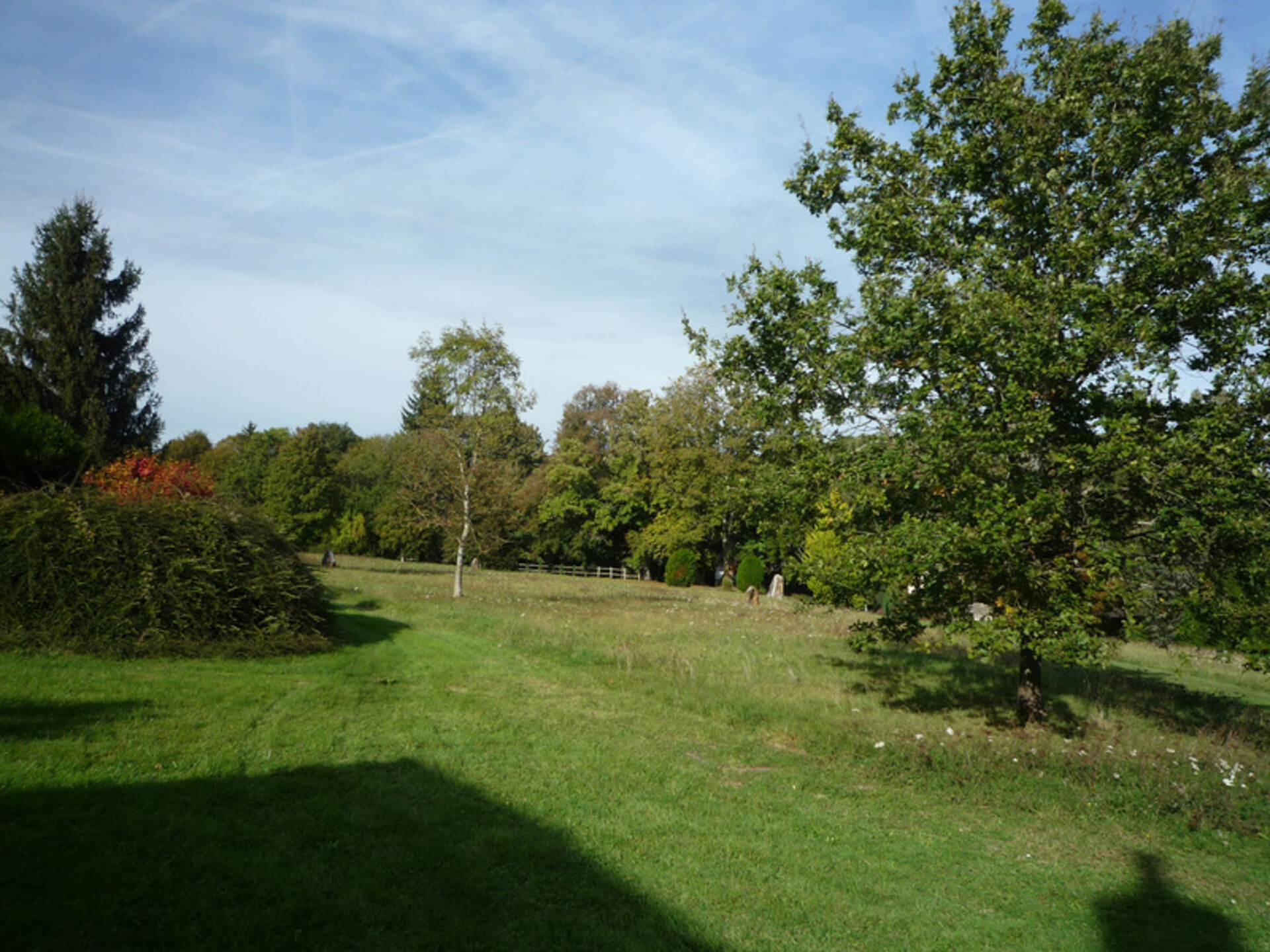 Photos 12 - Prestigious - Dpt Seine et Marne (77), La Ferté Gaucher near, for sale large estate of more than 1000 m2 of living