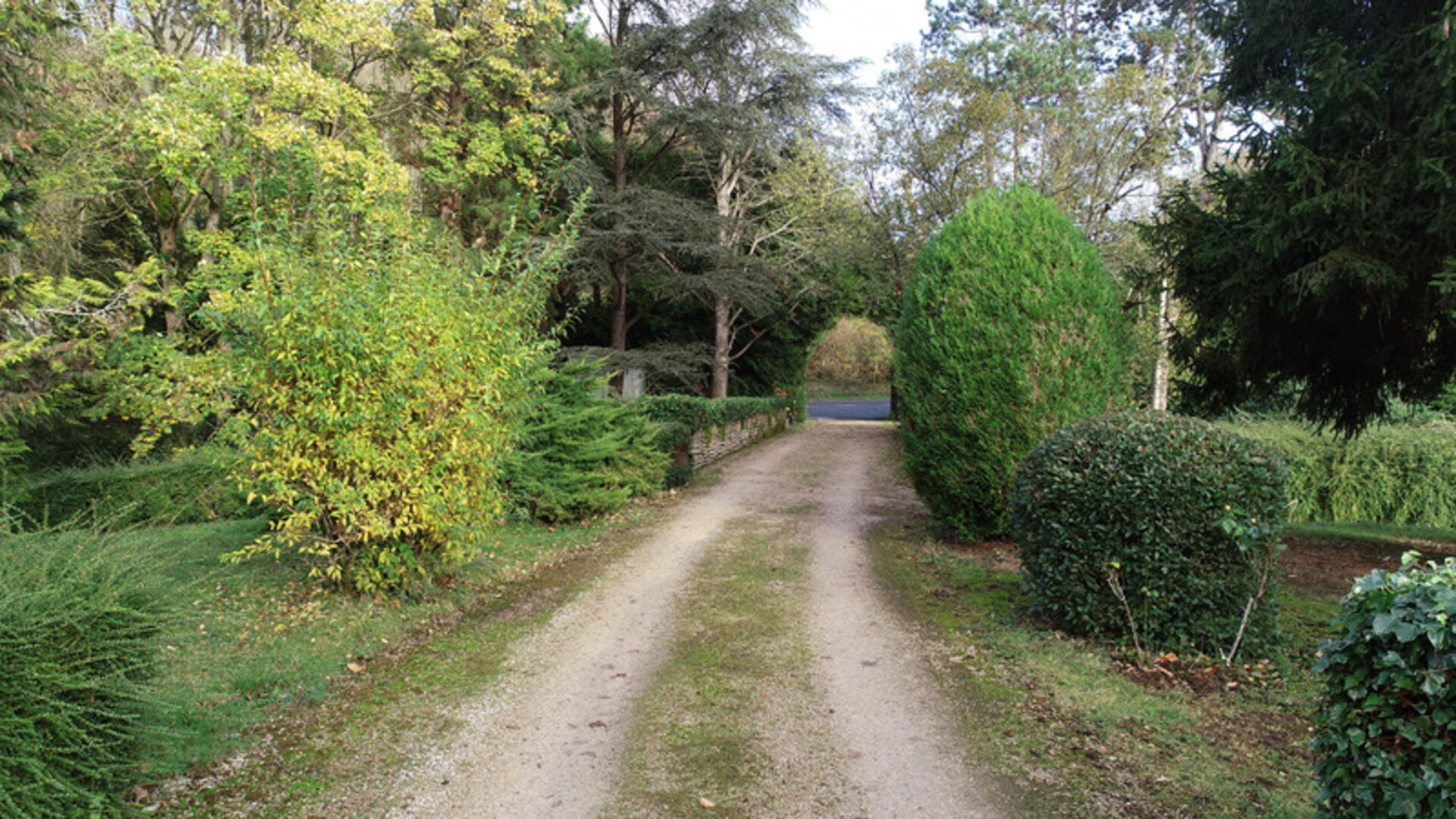 Photos 34 - Prestigious - Dpt Seine et Marne (77), La Ferté Gaucher near, for sale large estate of more than 1000 m2 of living