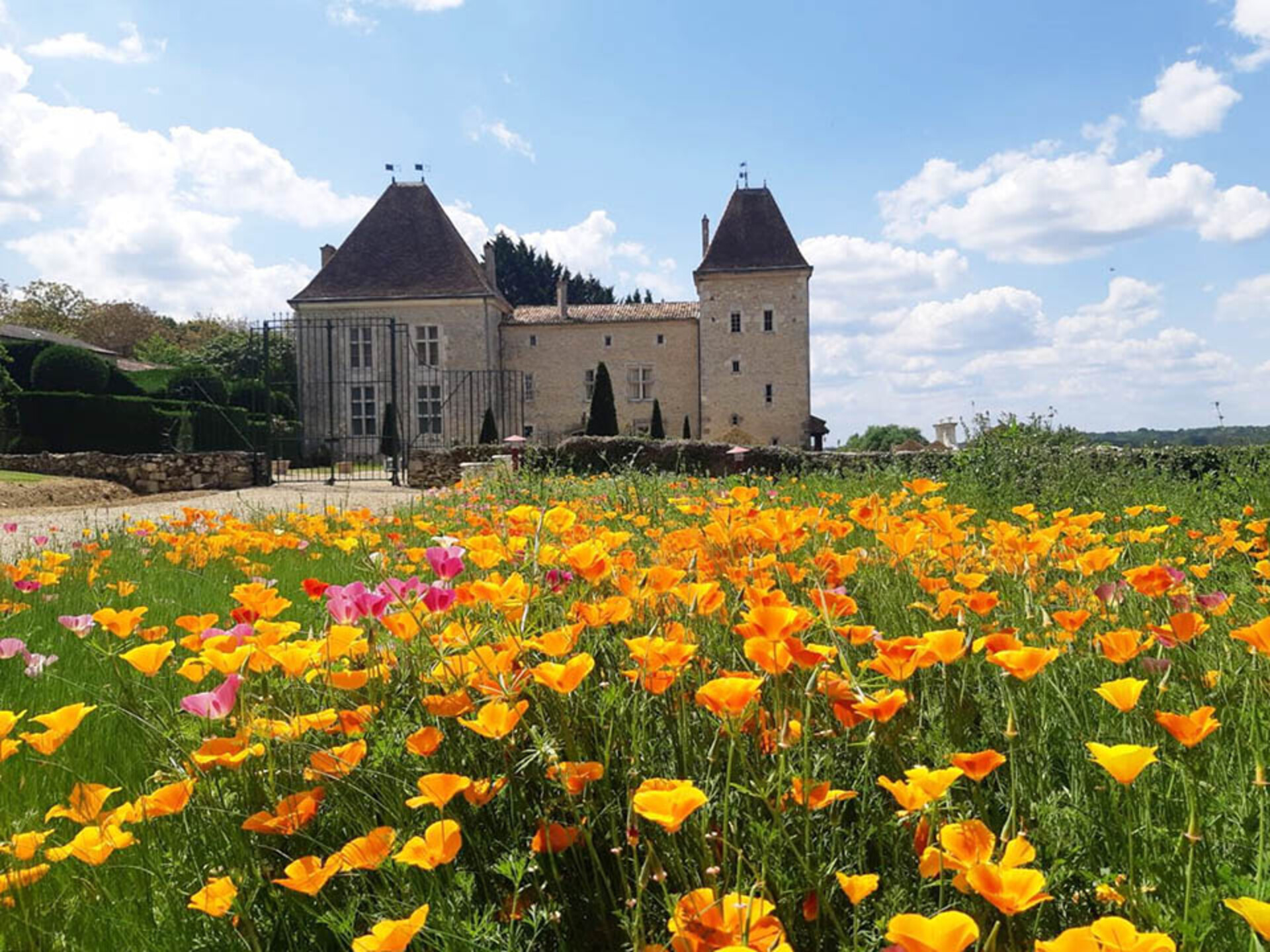 Photos 1 - Prestigious - 17th century castle with pool and pond on more than 23 hecta