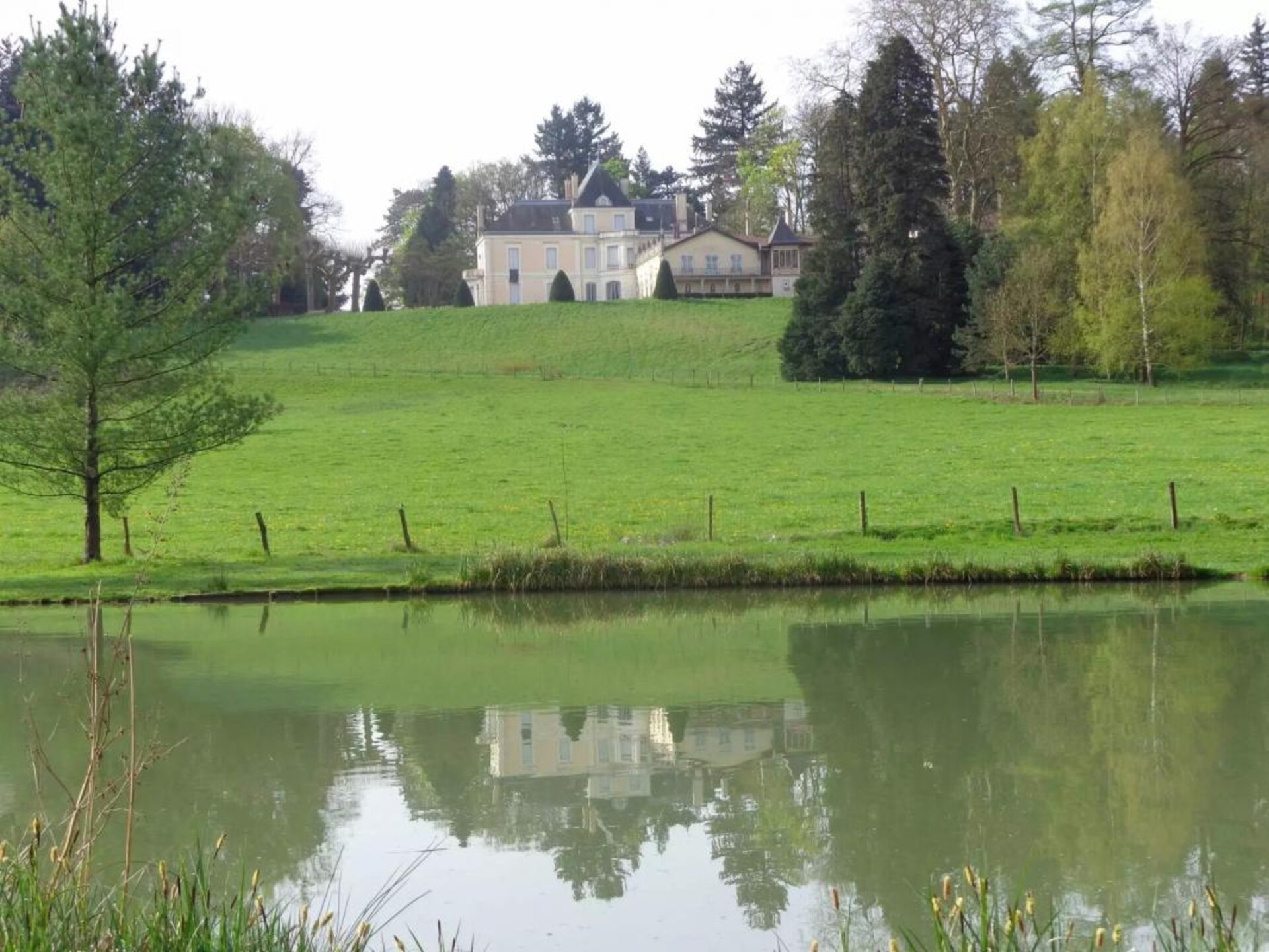 Photos 3 - Equestrian - Beautiful chateau set in 30 hectares lands