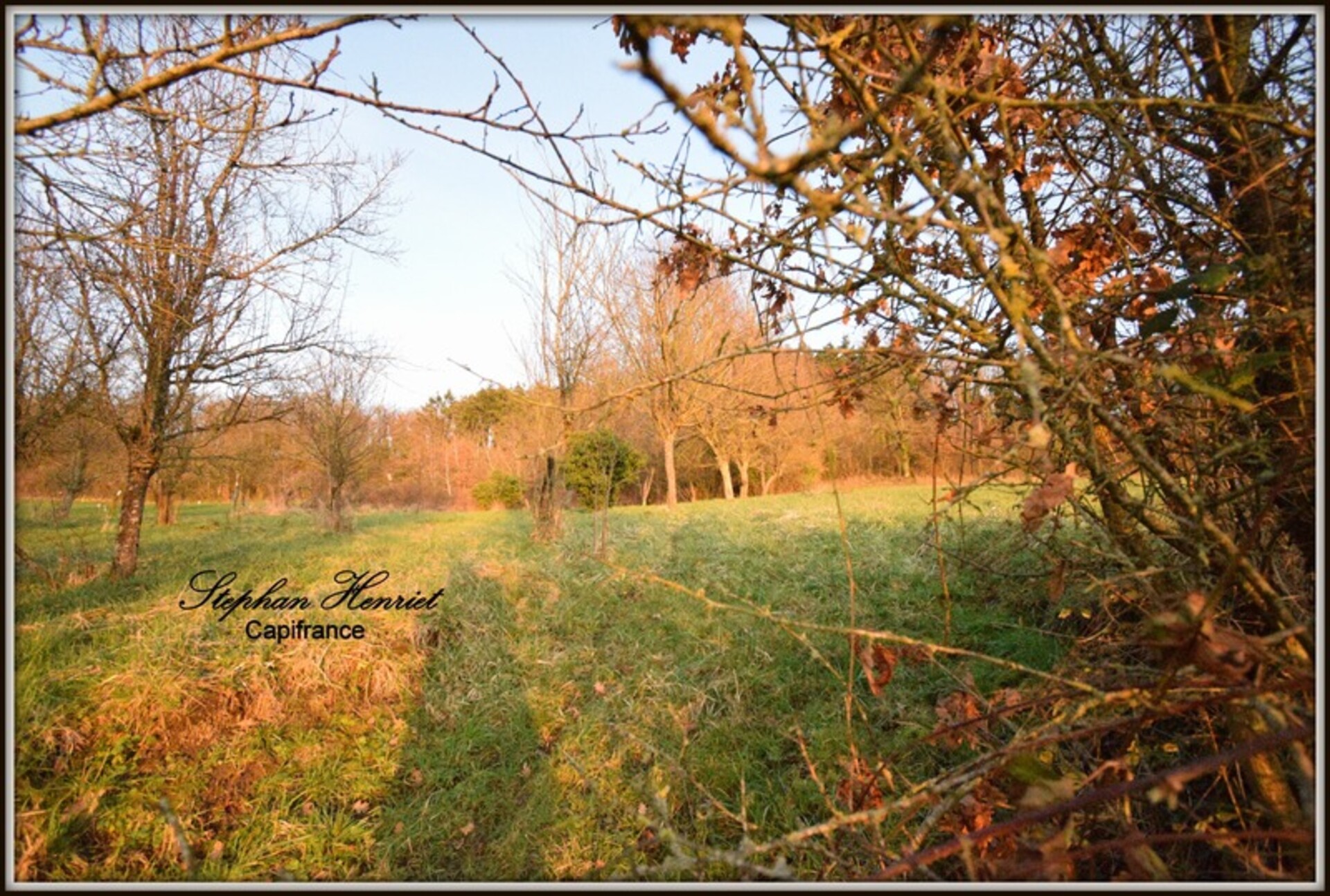 Photos 6 - Land - Dpt Ardennes (08), à vendre VANDY terrain